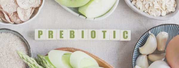 Prebiotics guide: foods, benefits & supplements